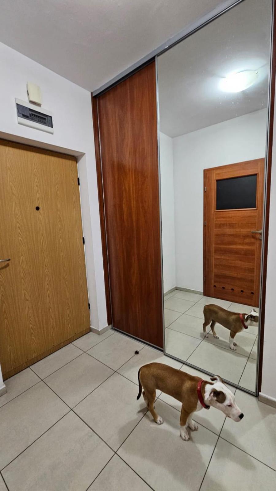 Apartament Lipinskiego كراكوفيا المظهر الخارجي الصورة