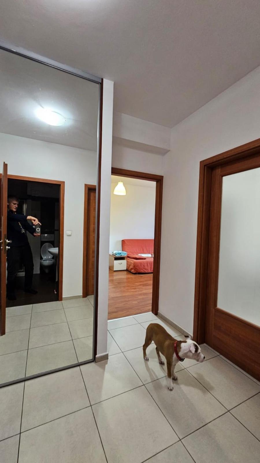 Apartament Lipinskiego كراكوفيا المظهر الخارجي الصورة