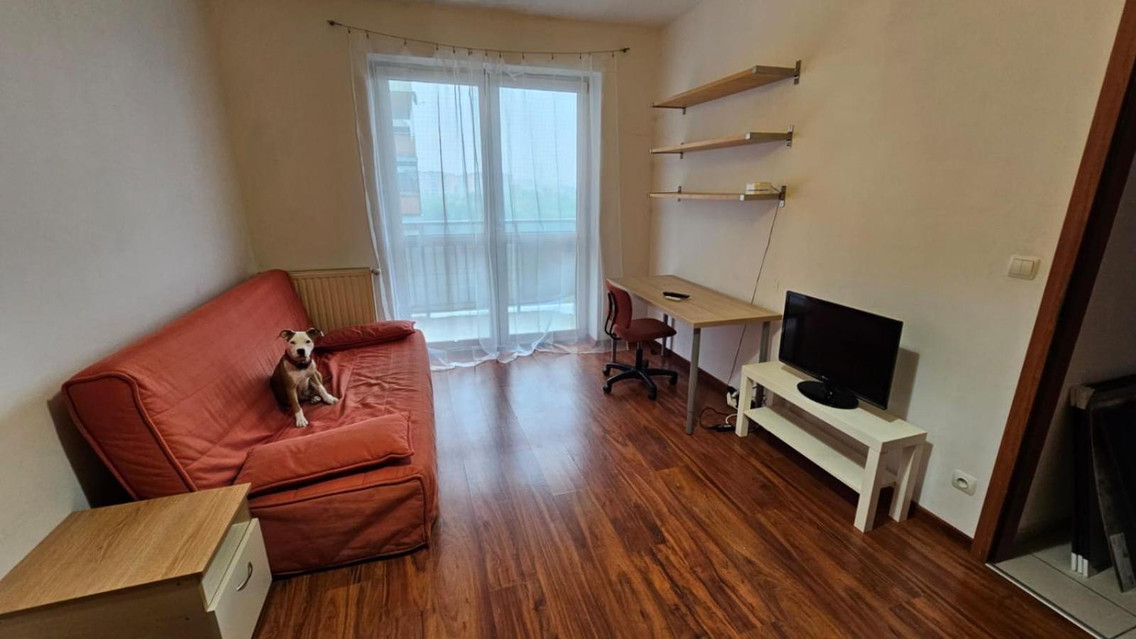 Apartament Lipinskiego كراكوفيا المظهر الخارجي الصورة