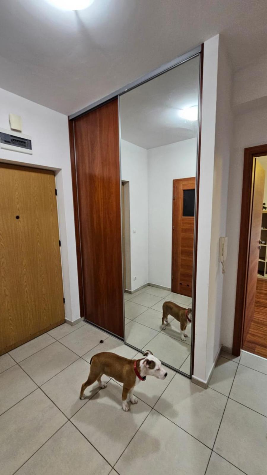 Apartament Lipinskiego كراكوفيا المظهر الخارجي الصورة