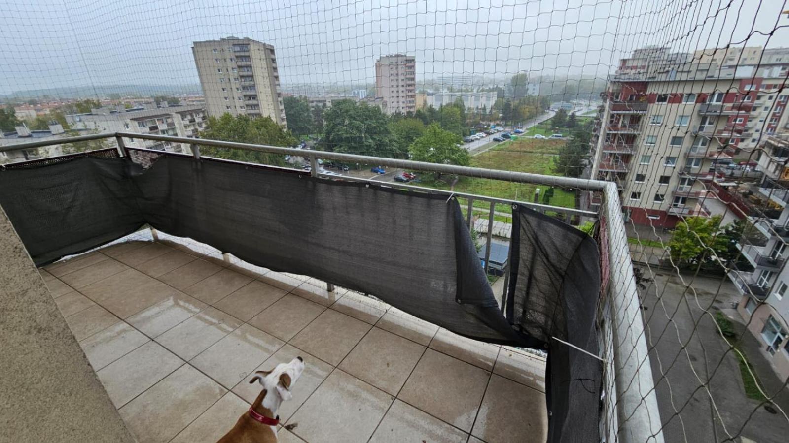Apartament Lipinskiego كراكوفيا المظهر الخارجي الصورة